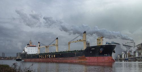 Juno-imo 9422378-02-02-2018-Amsterdam