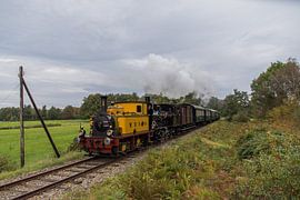 Magda" und "Navizence" - Museum der örtlichen Eisenbahn von Marcel Timmer