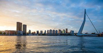 Rotterdam Erasmusbrug van Pieter Wolthoorn