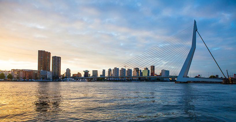 Rotterdamer Erasmusbrücke von Pieter Wolthoorn