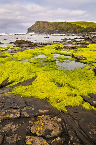Green coast by Denis Feiner
