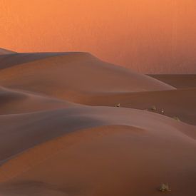 The endless dune by Sven Broeckx