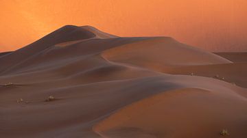 The endless dune