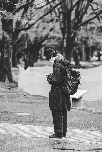 Tokyo: Het Kloppend hart van Japan