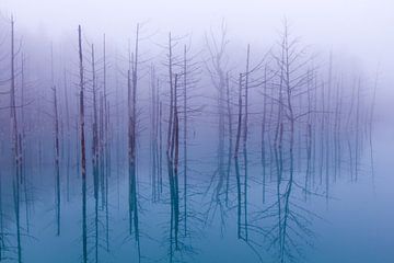 Misty Blue Pond, OSAMU ASAMI by 1x