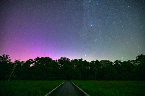 Noorderlicht boven het bos bij Dwingerlerveld in Drenthe