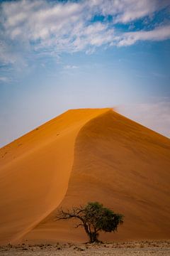 Zandduin in de Namib-woestijn van Namibië, Afrika van Patrick Groß