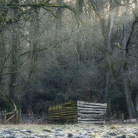 Baufälliger Schuppen im Wald von Saranda in t Veld Fotografie