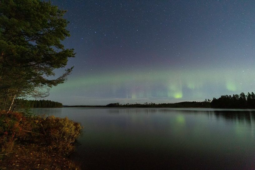 Dance of the Northern Lights at the Blueberry Hut by Fototante
