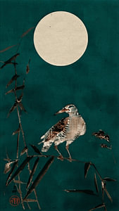 Traditioneller japanischer Holzschnitt von Vogel (Black Horsman) auf Bambus in grüner (Tael) Farbnuance