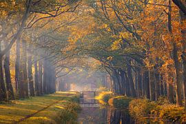 Autumn in Drenthe by Henk Meijer Photography