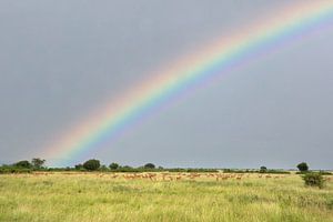 Queen Elizabeth National Park, Uganda