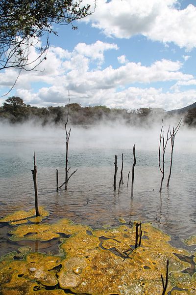 Kuirau Park Rotorua Neuseeland von Tineke Mols
