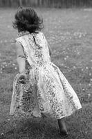 Gone in a Whirl of Petals