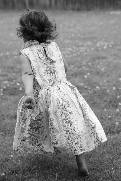 Gone in a Whirl of Petals by Abigail Hiddlestone