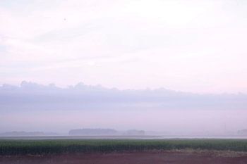 Quiet Morning Across the Fields