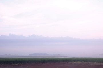 Rustige Ochtend over de Velden van Wendy van Cuijk
