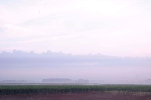 Stiller Morgen über den Feldern von Wendy van Cuijk