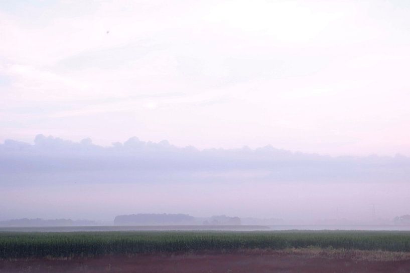Stiller Morgen über den Feldern von Wendy van Cuijk