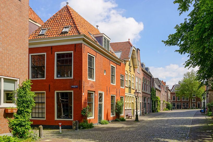 Mooi Leiden by Dirk van Egmond