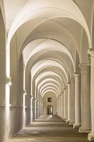 Dresden stalplaats