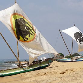 Vissersboten van Sri Lanka by Andrew Chang