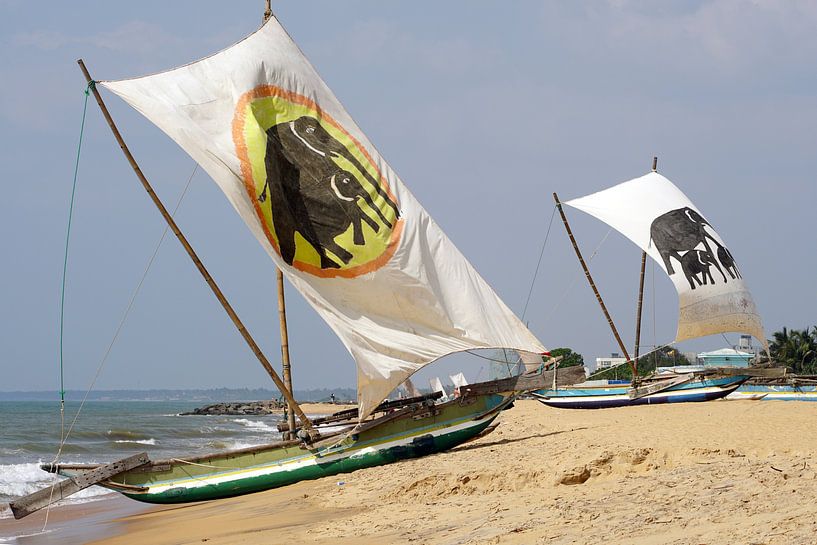 Vissersboten van Sri Lanka by Andrew Chang