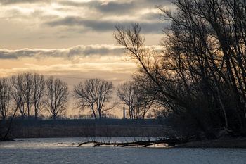 Heesseltsche floodplains