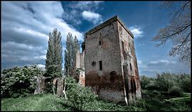 nijenbeek von Wim de Vos