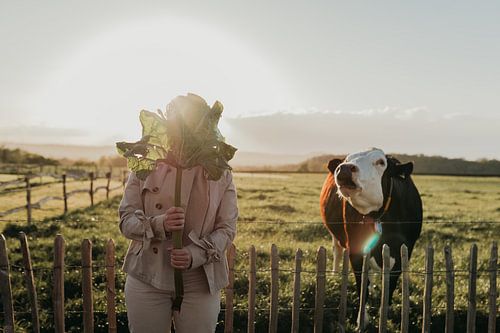 Natuurfoto van een vrouw met een grote blad voor haar hoofd die naast een loeiende koe poseert | Nat