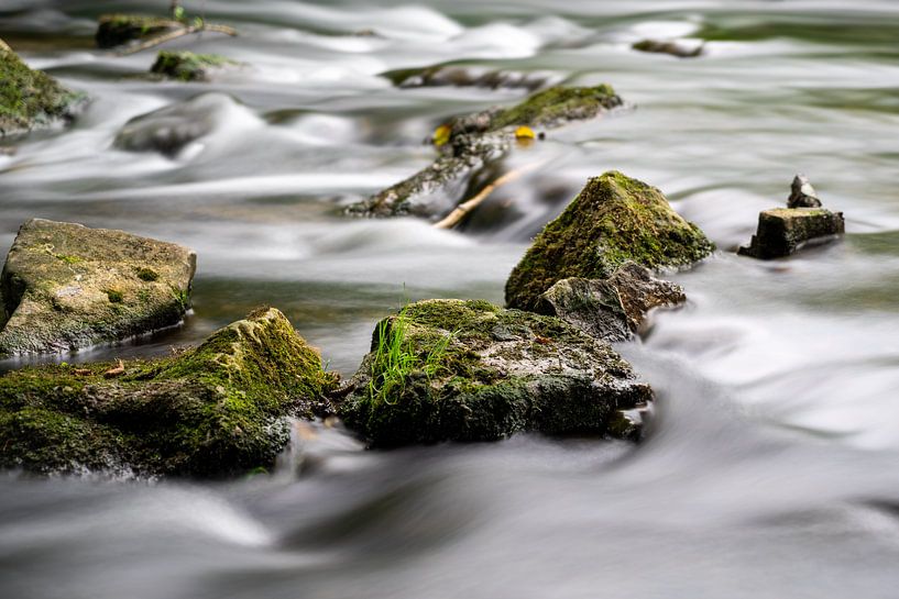 Smooth as silk by Frank Mannaerts