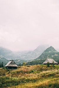 Cabanes en bois dans les montagnes des Tatras