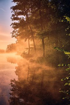 Golden autumn mist by Florian Kunde