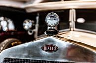 Diatto grille en radiator ornament van autofotografie nederland thumbnail