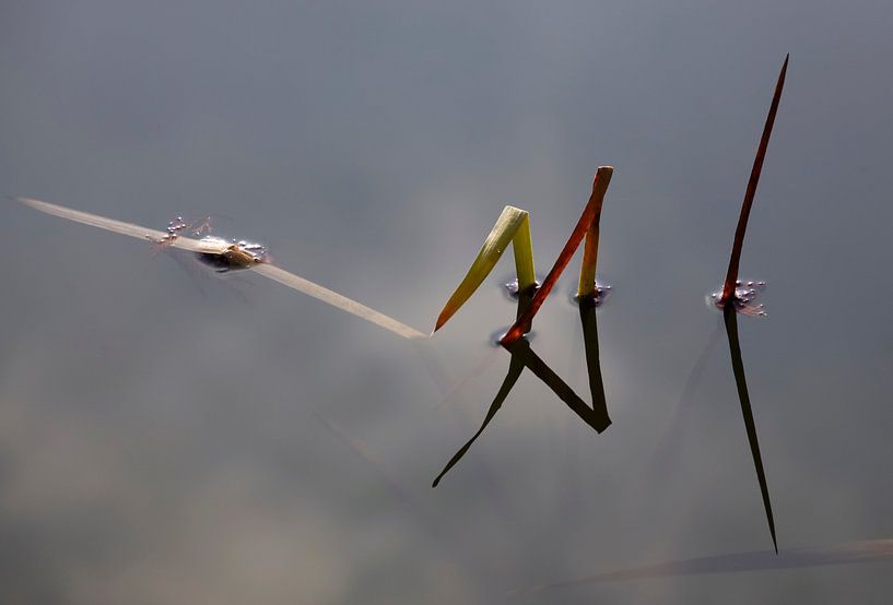 Am See von Thomas Jäger