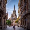 Kathedraal van Barcelona 2 van Iman Azizi