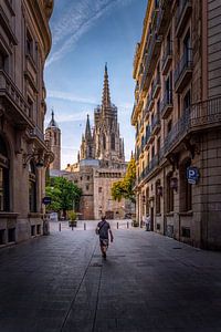 Barcelona Cathedral 2 von Iman Azizi