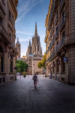 Kathedraal van Barcelona 2 van Iman Azizi