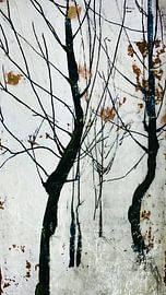 Den Bäumen zuhören