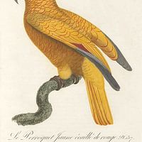 John Gould