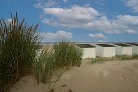 beach houses, Texel, mudflats, sea by M. B. fotografie