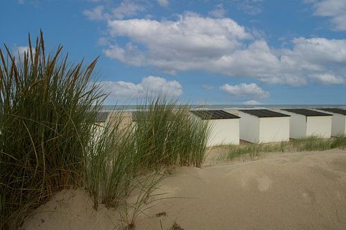 strandhuisjes, Texel, wadden, zee, het Wad