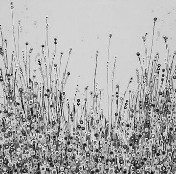 Bloemenveld zwart wit van Bianca ter Riet