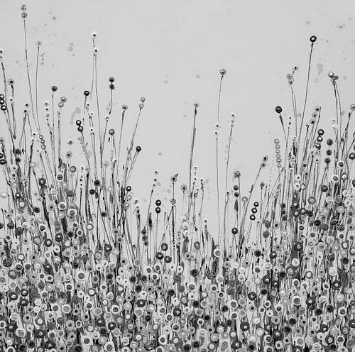 Champ de fleurs noir et blanc