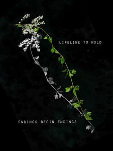 Ending Begin Endings