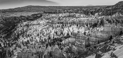 Winter panorama van Bryce Canyon in Zwart-Wit