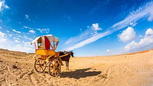 Lonely horse with carriage in the desert sur Günter Albers