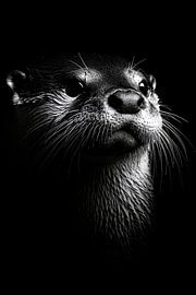 Otter van Poster Art Shop