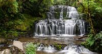 Purakaunui Falls van Ton de Koning thumbnail