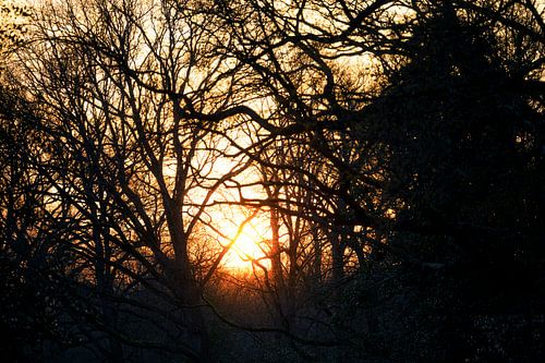 Sunset Stadspark Groningen (Nerderland)